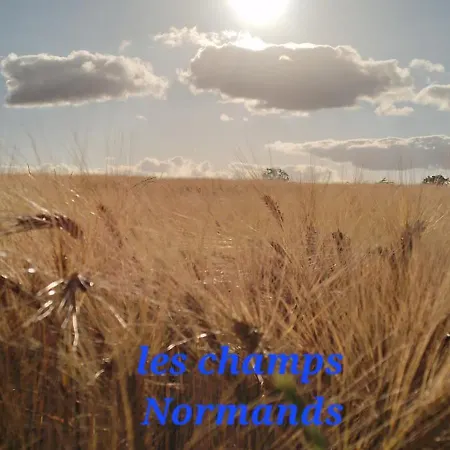 Maison A La Campagne Rots