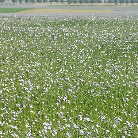 Maison A La Campagne * Rots