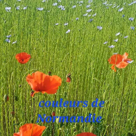 Maison A La Campagne