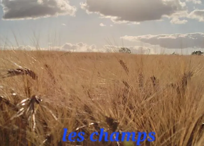 Maison A La Campagne Rots