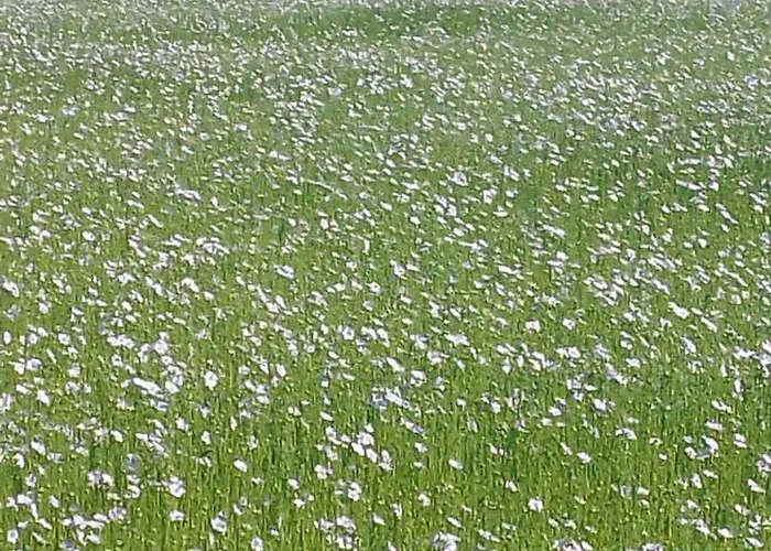 Maison A La Campagne * Rots