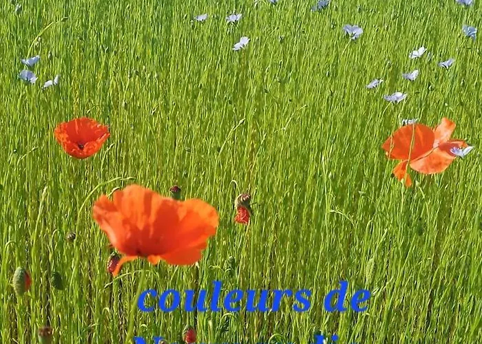 Maison A La Campagne